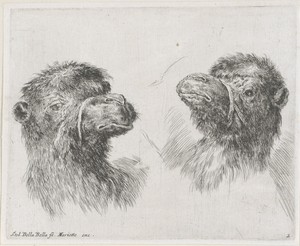 Twee kamelenkoppen by Stefano della Bella, created 1620 - 1664, in paper; etching. Download this artwork as a high-resolution wallpaper for desktop, tablet, or — Stefano della Bella Wallpaper