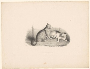 Twee katten by James William Giles, created 1811 - 1870, in paper; lithography. Download this artwork as a high-resolution wallpaper for desktop, tablet, or mob