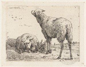 Twee schapen by Karel du Jardin, created 1652 - 1659, in paper; etching. Download this artwork as a high-resolution wallpaper for desktop, tablet, or mobile. — Karel du Jardin Wallpaper