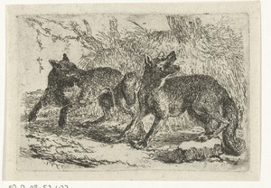 Twee wolven by Joannes Fijt, created c. 1621 - 1661, in paper; etching. Download this artwork as a high-resolution wallpaper for desktop, tablet, or mobile.