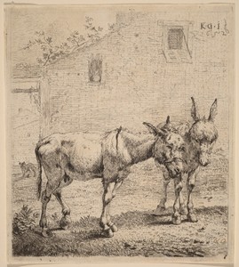 Two Asses by Karel du Jardin, created 1652, in etching on laid paper. Download this artwork as a high-resolution wallpaper for desktop, tablet, or mobile. — Karel du Jardin Wallpaper