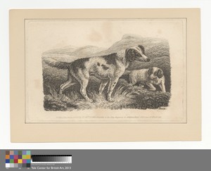 Two Dogs by Samuel Howitt, in Etching on medium, slightly textured, cream wove paper. Download this artwork as a high-resolution wallpaper for desktop, tablet, — Samuel Howitt Wallpaper