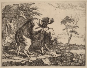 Two Dogs Copulating by Joannes Fijt, created 1642, in etching on laid paper. Download this artwork as a high-resolution wallpaper for desktop, tablet, or mobile