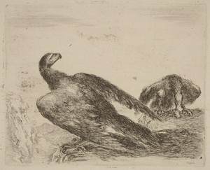 Two Eagles on a Promitory by Stefano della Bella, in etching on laid paper [restrike]. Download this artwork as a high-resolution wallpaper for desktop, tablet, — Painting Picture