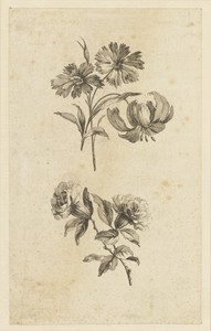 Two Flower Sprigs by Jean-Baptiste Pillement, created 1728-1808, in Etching on paper. Download this artwork as a high-resolution wallpaper for desktop, tablet, — Art Background