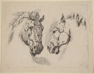 Two Horse Heads by Stefano della Bella, created probably 1649, in etching. Download this artwork as a high-resolution wallpaper for desktop, tablet, or mobile. — Stefano della Bella Wallpaper