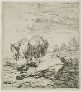 Two Horses by Karel du Jardin, created 1652–60, in Etching on paper. Download this artwork as a high-resolution wallpaper for desktop, tablet, or mobile. — Illustration Background