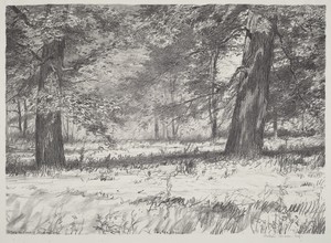 Two Maples by Bolton Brown, created 1920, in lithograph. Download this artwork as a high-resolution wallpaper for desktop, tablet, or mobile. — Bolton Brown Wallpaper