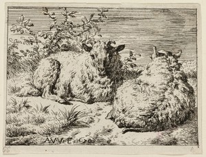 Two Sheep by Adriaen van de Velde, created n.d., in Etching on ivory paper. Download this artwork as a high-resolution wallpaper for desktop, tablet, or mobile. — Illustration Wallpaper