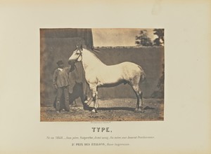 Type by Adrien Alban Tournachon, created 1860. Download this artwork as a high-resolution wallpaper for desktop, tablet, or mobile. — Art Picture