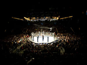Ein MMA-Käfig, beleuchtet in einer vollen dunklen Arena mit Deckenleuchten. — Fighter Wallpaper