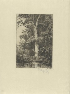 Untitled by Hendrik Dirk Kruseman van Elten, created c. 1880, in Japanese paper (handmade paper); etching; drypoint. Download this artwork as a high-resolution 