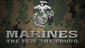 Marine Corps emblem and motto on camouflage background — Usmc Logo Background