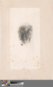 Valombre by Edward Goodall, in Etching and engraving with chine collé; engraver's proof (c) on thick, slightly textured, cream wove paper. Download this artwork — Edward Goodall Wallpaper