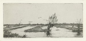 Veenplas by Jacobus Ludovicus Cornet, created 1854, in paper; etching. Download this artwork as a high-resolution wallpaper for desktop, tablet, or mobile. — Jacobus Ludovicus Cornet Wallpaper