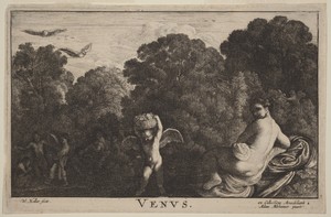 Venus by Wenceslaus Hollar, in etching on laid paper. Download this artwork as a high-resolution wallpaper for desktop, tablet, or mobile. — Painting Picture