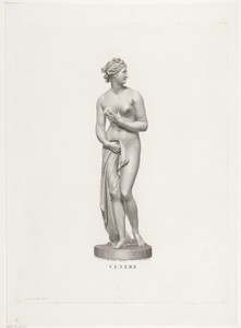 Venus by Angelo Bertini, created 1793 - 1838, in paper; engraving. Download this artwork as a high-resolution wallpaper for desktop, tablet, or mobile. — Angelo Bertini Wallpaper