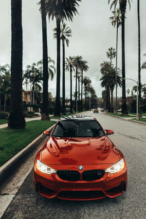 Orange BMW M4 parkeret på en palmeomkranset gade under overskyet himmel — Lodret Baggrunde Wallpapers
