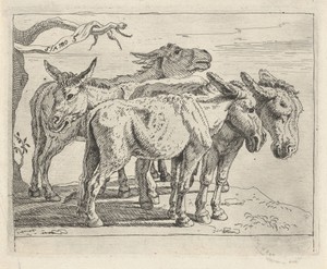 Vier ezels by Govert van der Leeuw, created 1655 - 1688, in paper; etching. Download this artwork as a high-resolution wallpaper for desktop, tablet, or mobile.