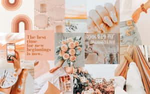A peach-colored collage with sunsets flowers nails and motivational quotes. — Vintage Peach Picture