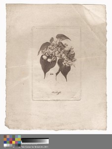 Walkuffa by John Beugo, in Engraving. Download this artwork as a high-resolution wallpaper for desktop, tablet, or mobile. — John Beugo Wallpaper