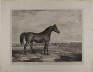 Walton by James Ward, created 1823, in Lithograph on ivory chine, laid down on off-white wove paper. Download this artwork as a high-resolution wallpaper for de — James Ward Wallpaper