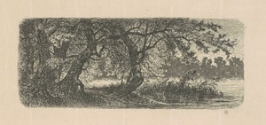 Water Elms by Carl C. Brenner, created 1870s-1880s, in etching in black on laid paper. Download this artwork as a high-resolution wallpaper for desktop, tablet,