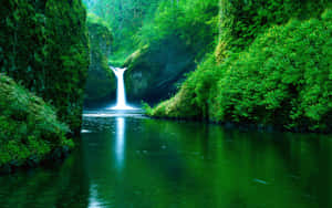 Uma cachoeira brilhante flui para uma piscina verde espelhada em uma floresta densa. — Linda cachoeira Papéis de Parede