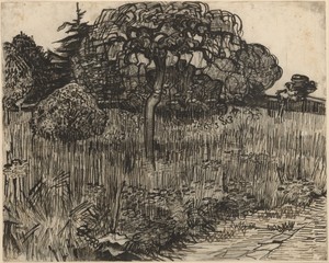 Weeping Tree by Vincent van Gogh, created 1889, in Reed pen and black-brown ink, with black chalk on off-white wove paper. Download this artwork as a high-resol — Vincent Van Gogh Background
