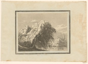 Weeping willow by John Robert Cozens, created 1789, in paper; soft-ground etching; aquatint. Download this artwork as a high-resolution wallpaper for desktop, t