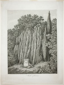 Weeping Willow by Jacob Philipp Hackert, created 1802, in Etching on off-white laid paper. Download this artwork as a high-resolution wallpaper for desktop, tab — Jacob Philipp Hackert Wallpaper