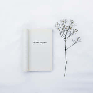Open book with title Too Much Happiness next to a dried flower branch on white background.