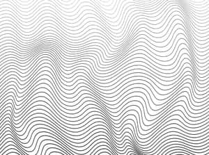 Black wavy lines flowing across a white background in a hypnotic pattern. — White Pattern Wallpaper