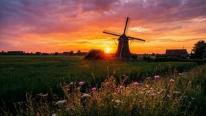 Colorful sunset with windmill silhouette in Oosterhout