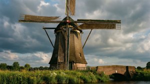 Ein Nahaufnahme-Windmühlen-Wallpaper mit dramatischen Wolken und Wildblumen im Stil von Jean Louis Van Kuyck