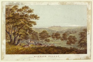 Windsor Forest (Pocket Book version) by George Baxter, created 1850, in Steel etching and stipple printed in brown, with block printing in colors from 11 blocks — Illustration Wallpaper