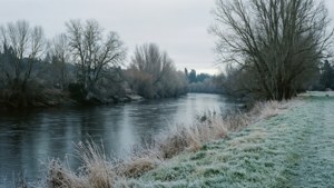 Ein kalter Wintertag am Whanganui River.