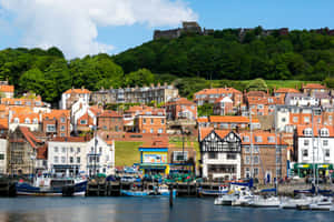 Cidade costeira com barcos no porto e edifícios históricos na encosta. — Horizonte de Nova York Papéis de Parede
