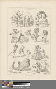 Zoological Education by Alfred Henry Forrester, in Lithograph on moderately thick, smooth, beige wove paper. Download this artwork as a high-resolution wallpape — Alfred Henry Forrester Wallpaper
