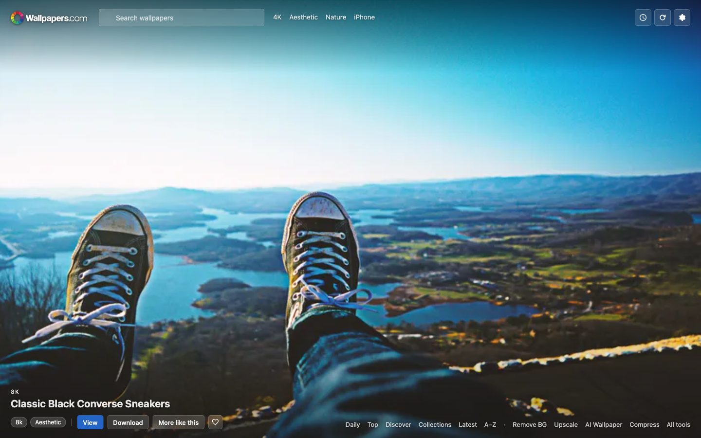 New tab with the search bar, category links and the View, Download and More like this buttons showing