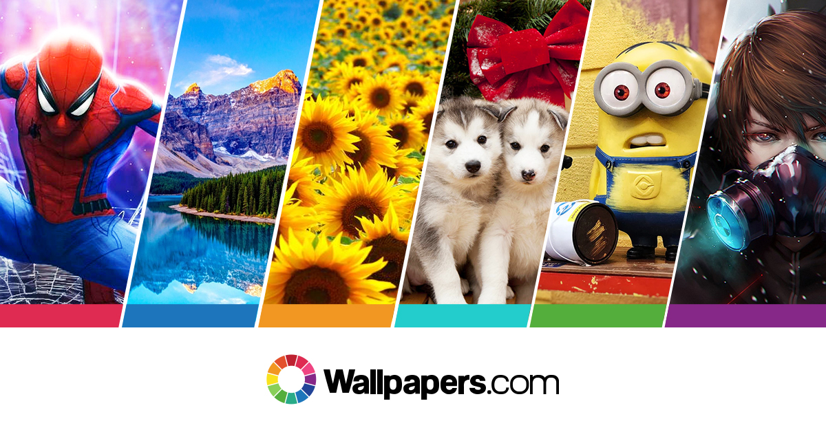 10 Stunning Free Wallpaper Sites You Dont Want to Miss